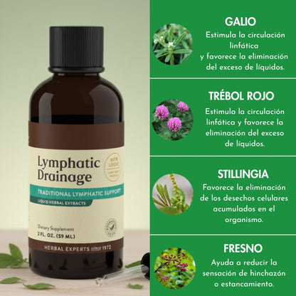 Drenaje linfático líquido – Recupera ligereza, energía y una piel lisa